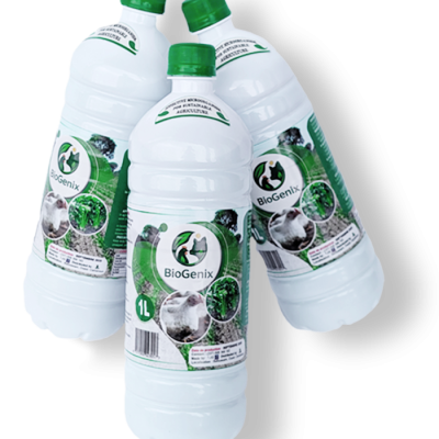 Biofertilisant et probiotique